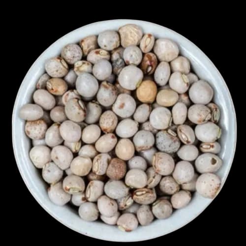 Pigeon Peas